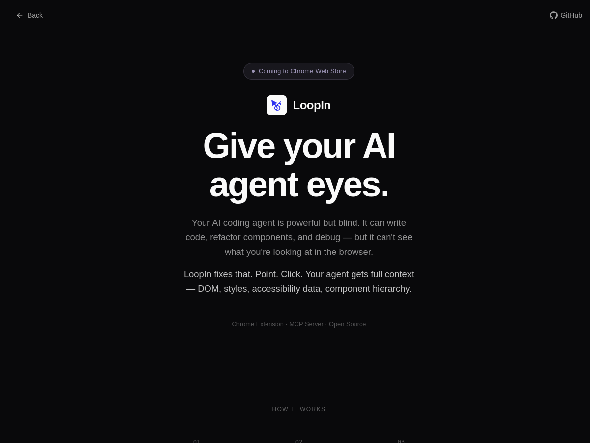 LoopIn site preview